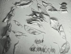 White on White 2